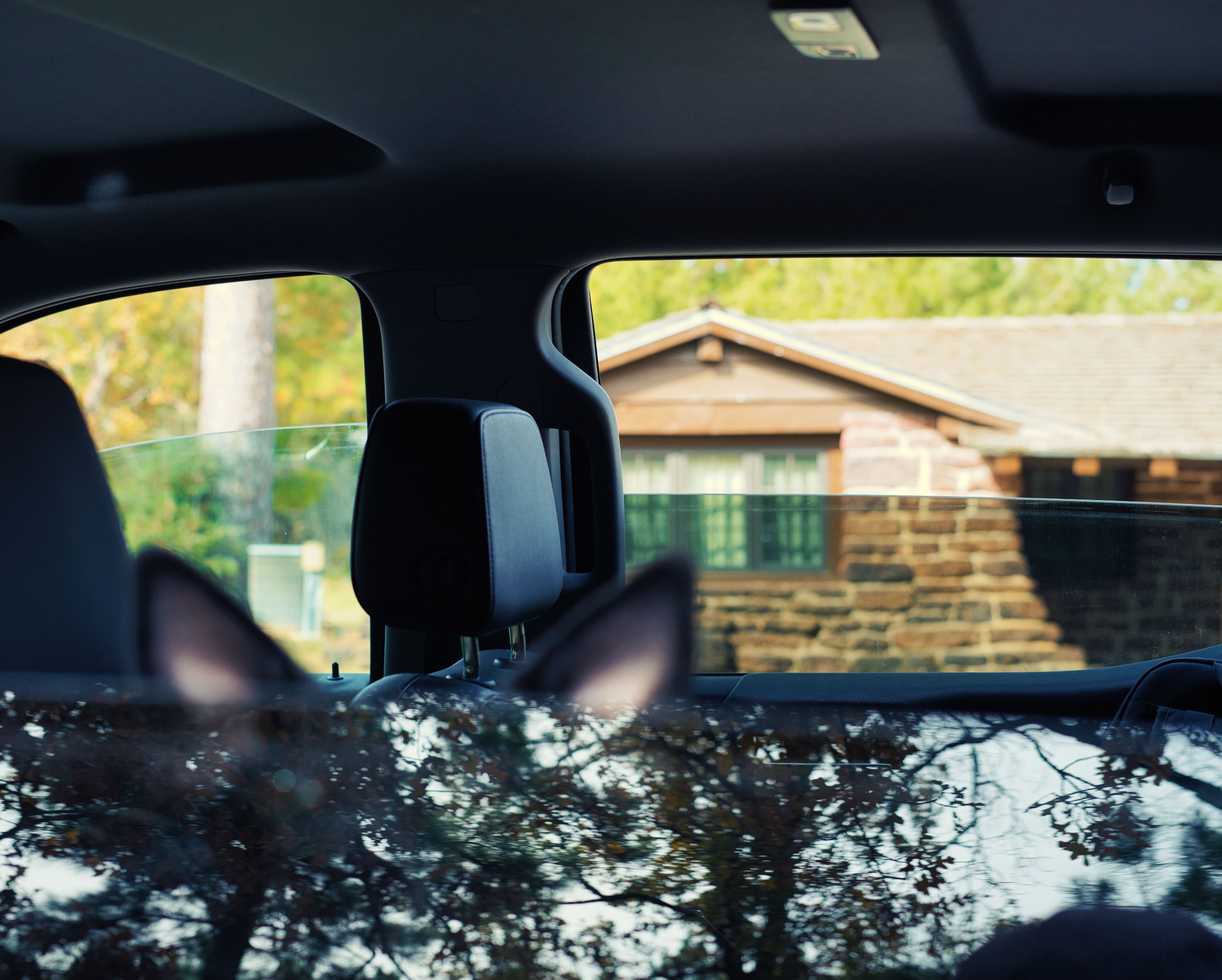 Runner with a scenic background