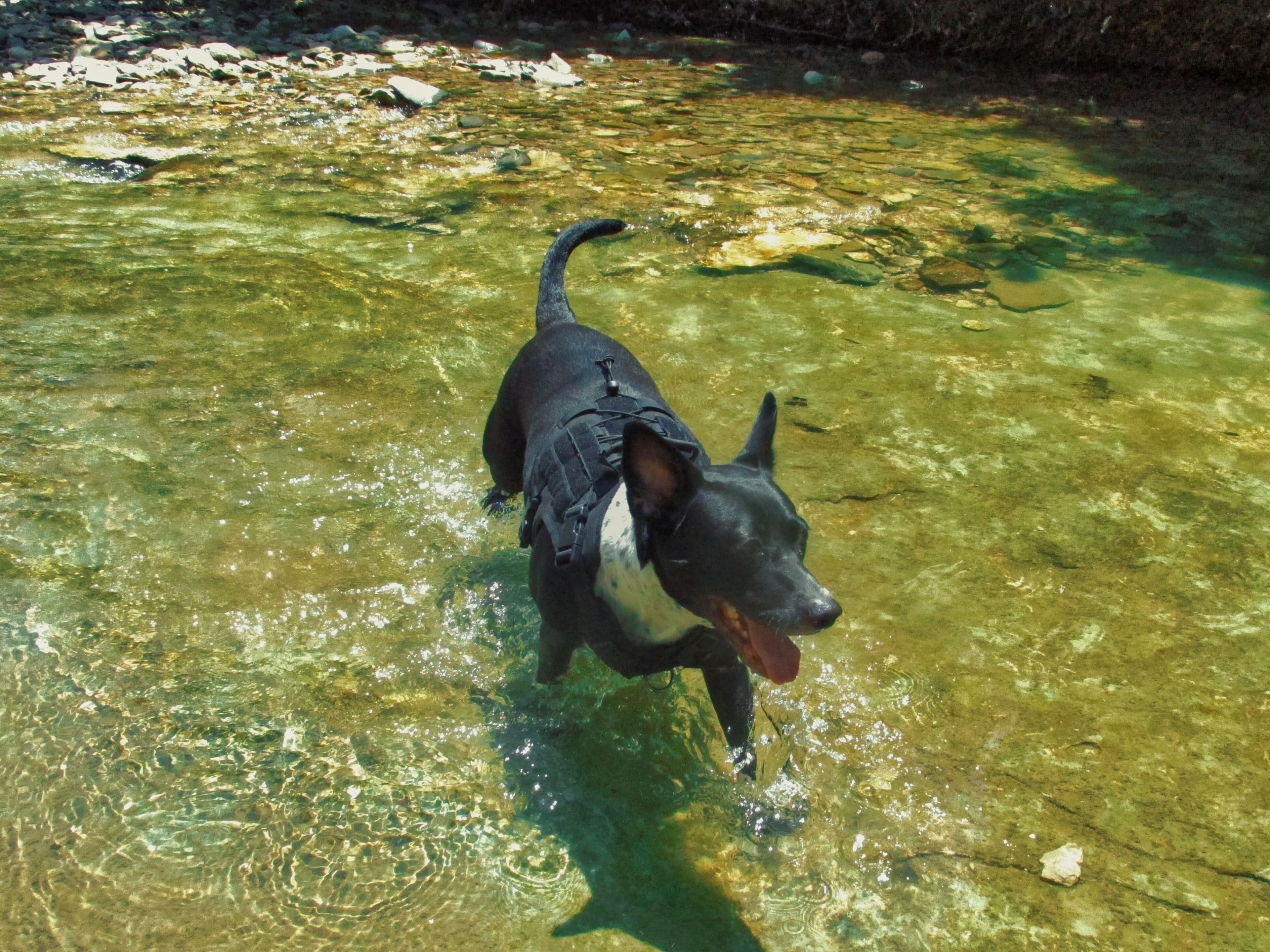 Runner being handed water during the event