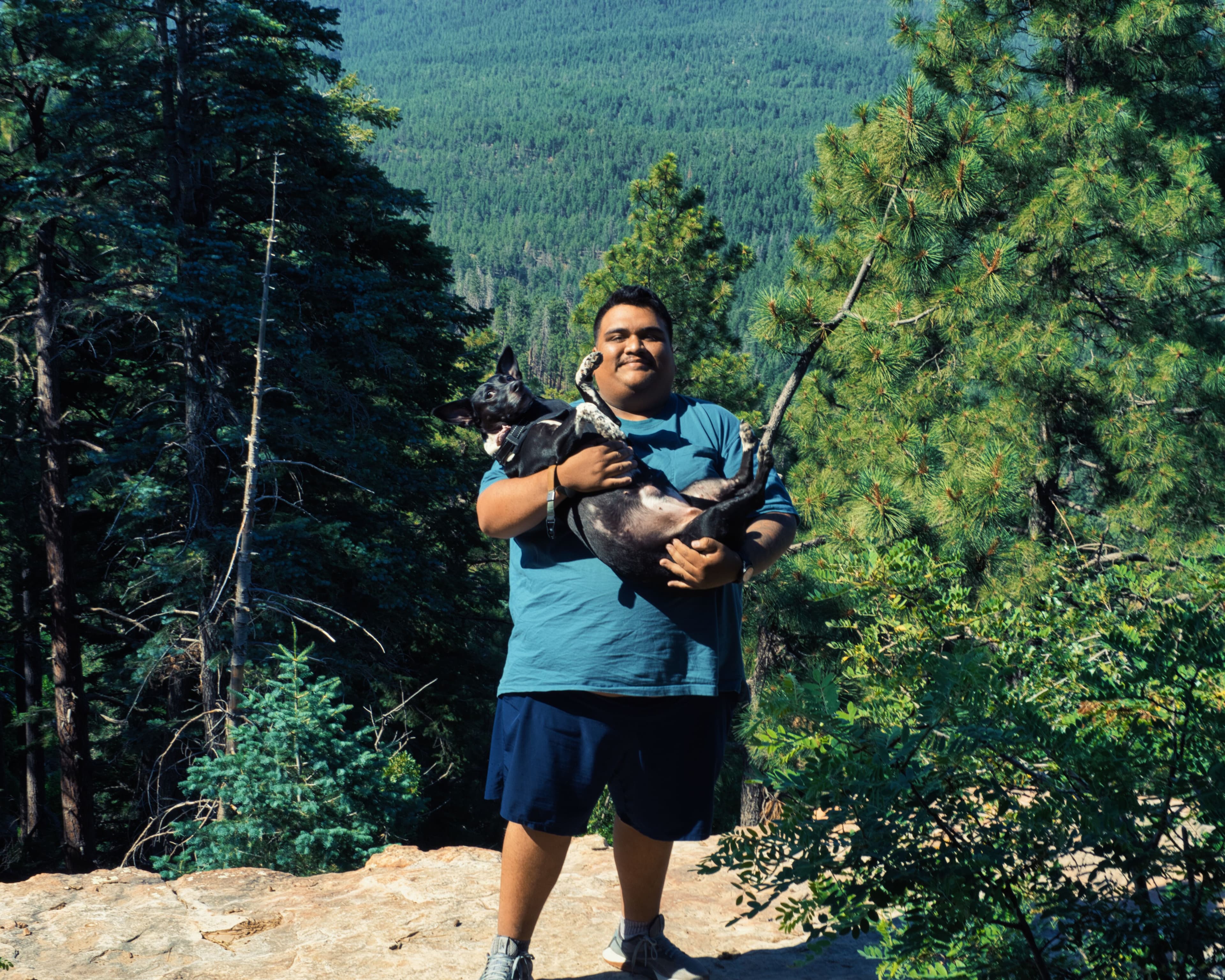 Trail cutting through green foliage
