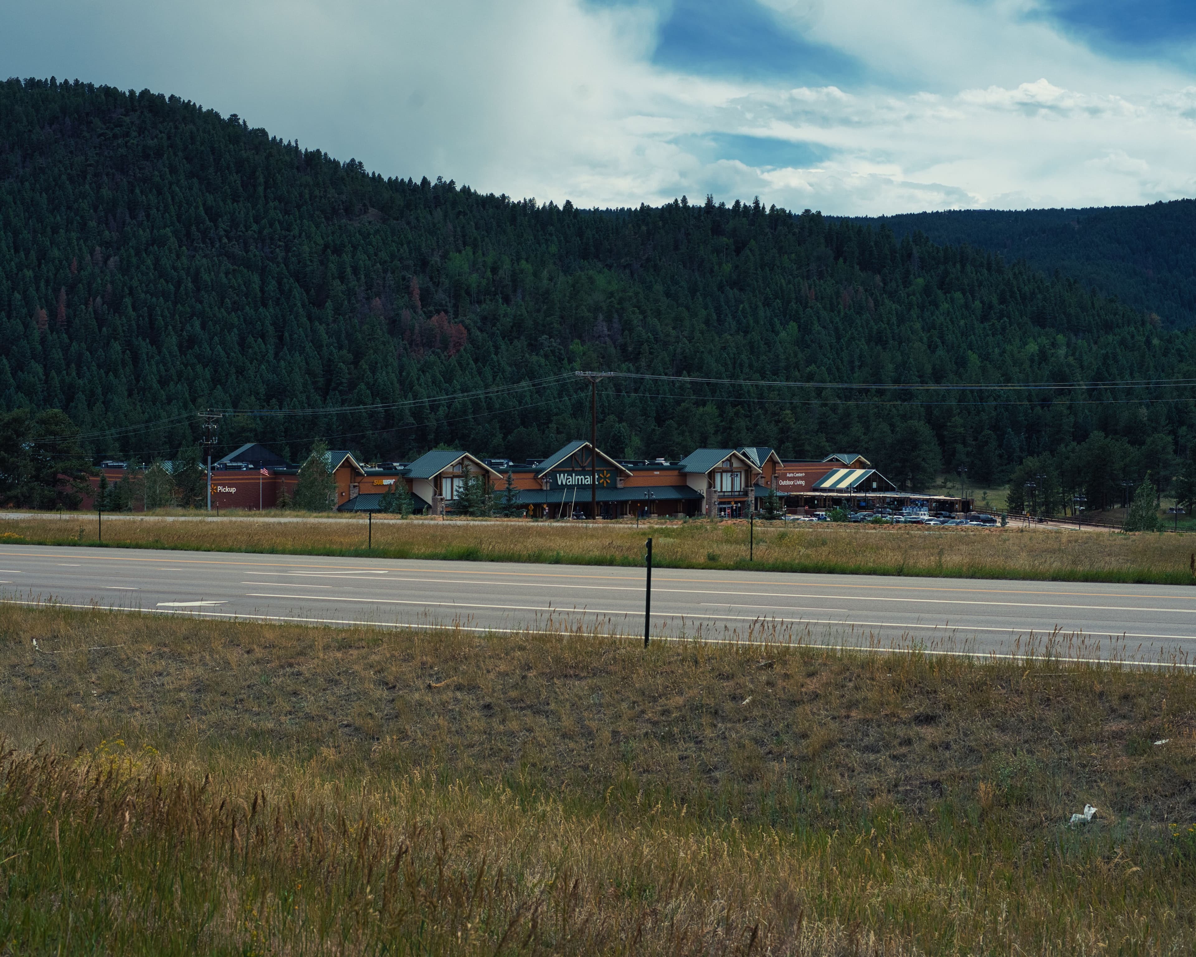 Narrow trail winding between shrubs